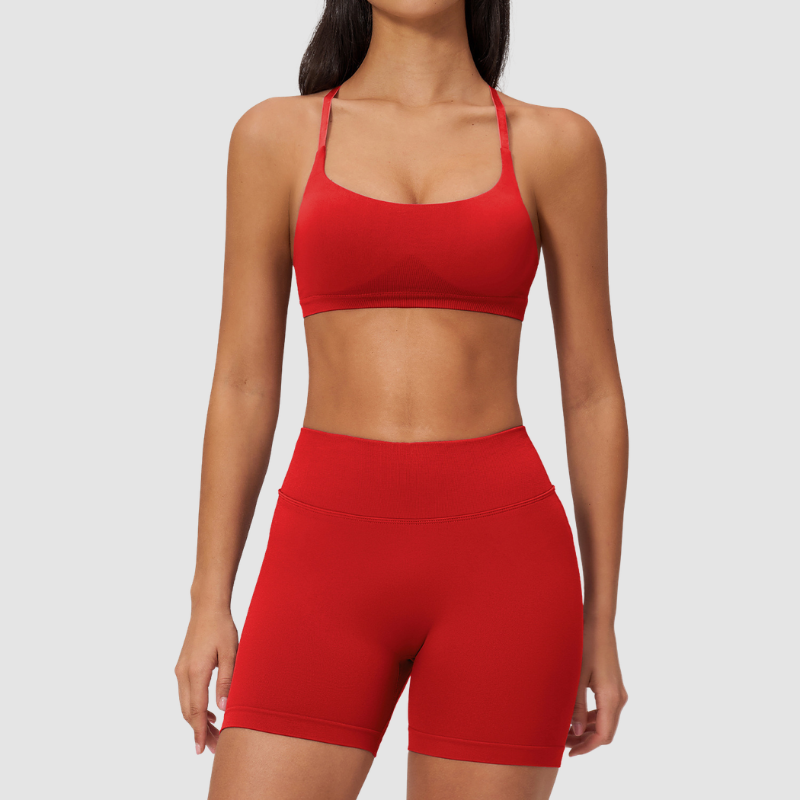 Wholesale Seamless Cross-Back Sports Bra & High-Waist Biker Shorts Set – Quick-Dry Yoga 2-Piece