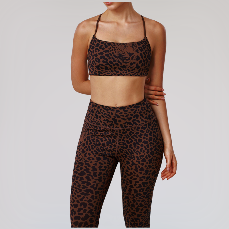 Wholesale leopard print sports bra + leggings